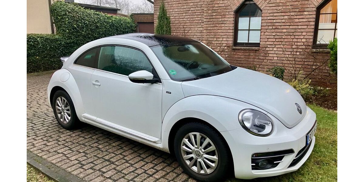 VW Beetle 116.987 km 10.000 &euro; Bottrop 46242