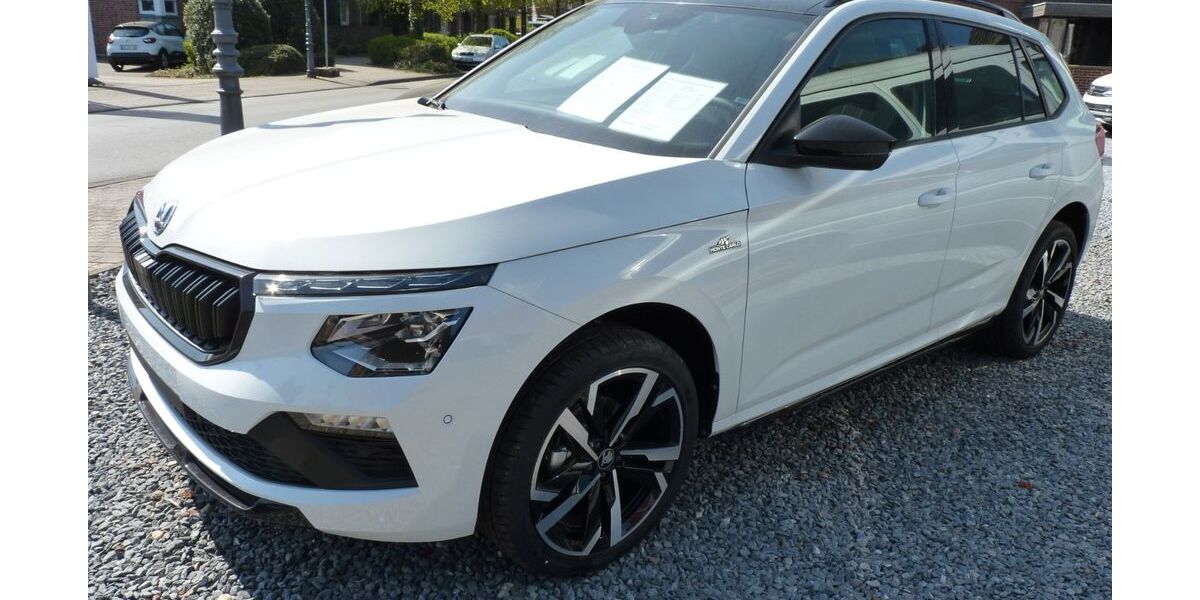 Skoda Kamiq 3.000 km 35.698 &euro; Issum-Sevelen 47661