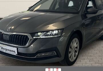 Skoda Octavia 9.600 km 31.990 &euro; Dorsten 46282
