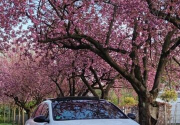 Kia pro ceed / ProCeed 69.000 km 20.390 &euro; Dinslaken 46535