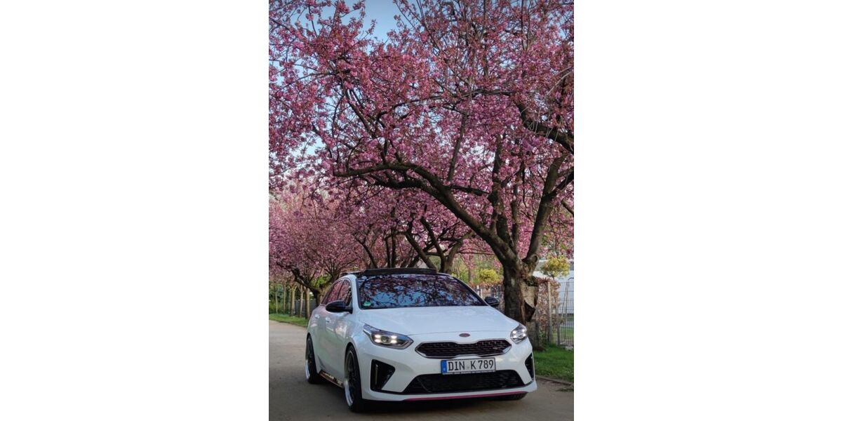 Kia pro ceed / ProCeed 69.000 km 20.390 &euro; Dinslaken 46535