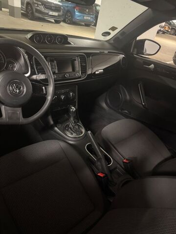 Gebrauchte VW Käfer