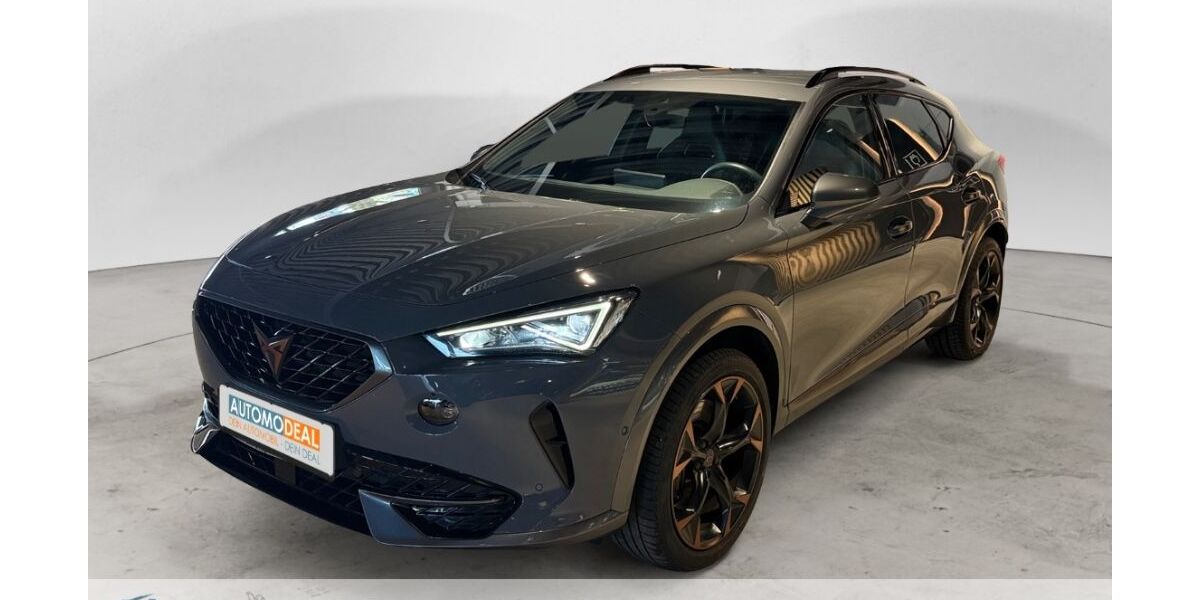 Cupra Formentor 41.872 km 27.728 &euro; Duisburg 47138