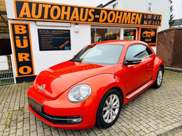 Gebrauchte VW New Beetle