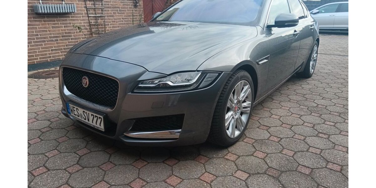 Jaguar XF 113.125 km 18.500 &euro; Moers 47441