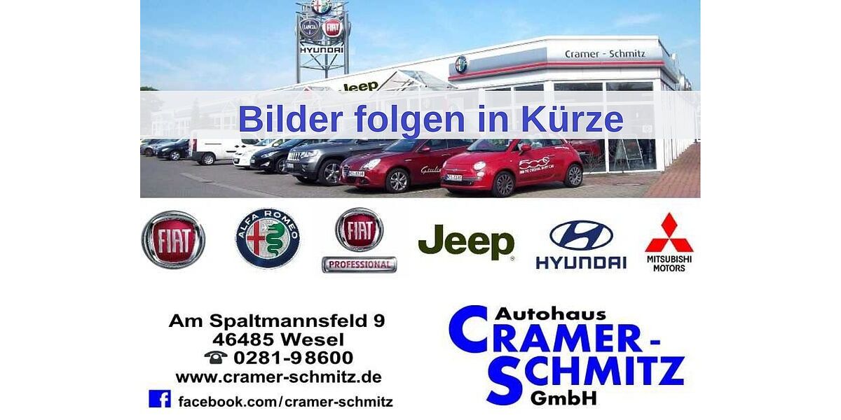 Fiat 500 18.817 km 12.990 &euro; Wesel 46485