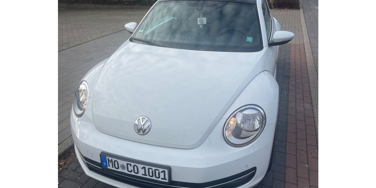 VW Beetle 205.000 km 6.250 &euro; Dinslaken 46537