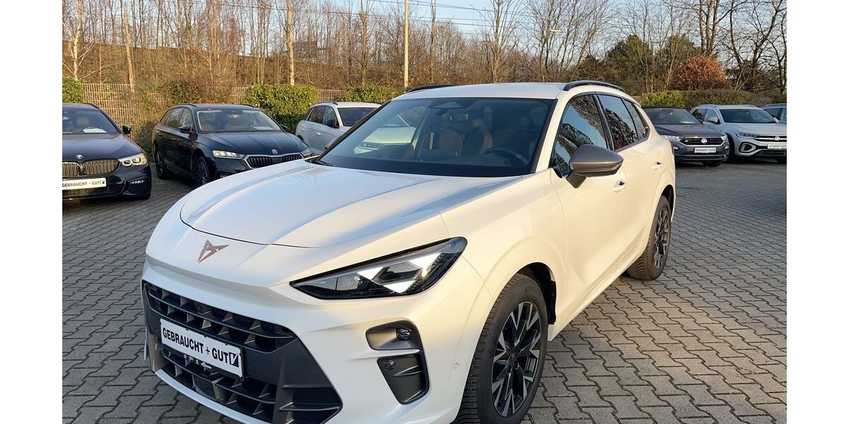 Cupra Terramar 22.480 km 33.450 &euro; Duisburg 47178